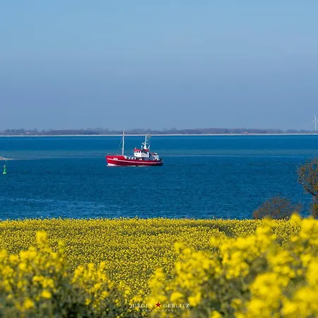 25 Kappeln